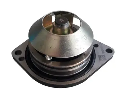 Bomba De Agua Ford Cargo 1113 1114 1313 - F1000 F12000