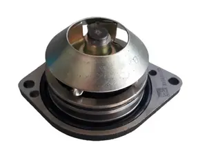 Bomba De Agua Ford Cargo 1113 1114 1313 - F1000 F12000