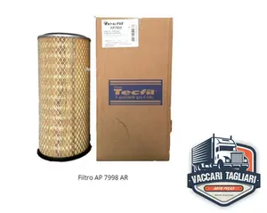 Filtro De Ar F250 F350 F1000 F12000 F14000 F22000 - Ap7998