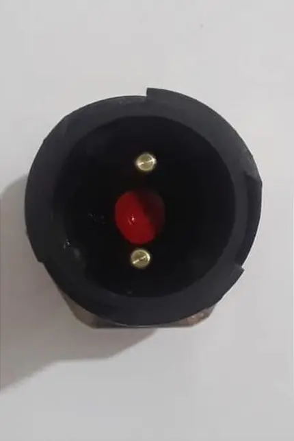 Sensor Pedal Freio Volvo - Pneumático (rh5584)