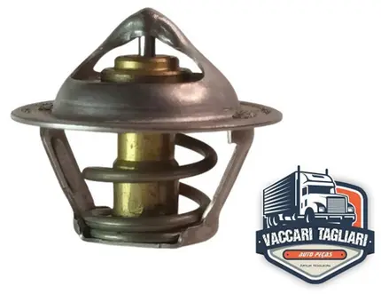 Valvula Termostatica Vw 5140 8150 9150 Delivery Mwm Sprint