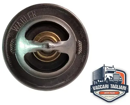 Valvula Termostatica Vw 5140 8150 9150 Delivery Mwm Sprint