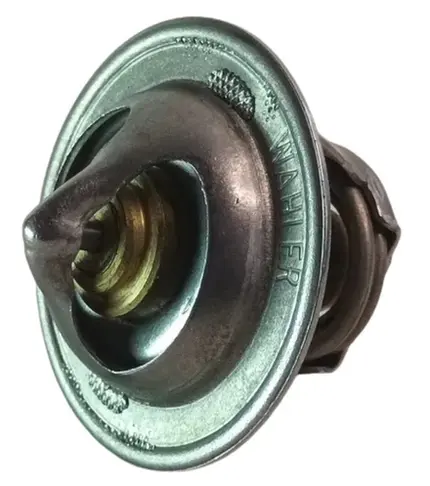 Valvula Termostatica Vw 5140 8150 9150 Delivery Mwm Sprint